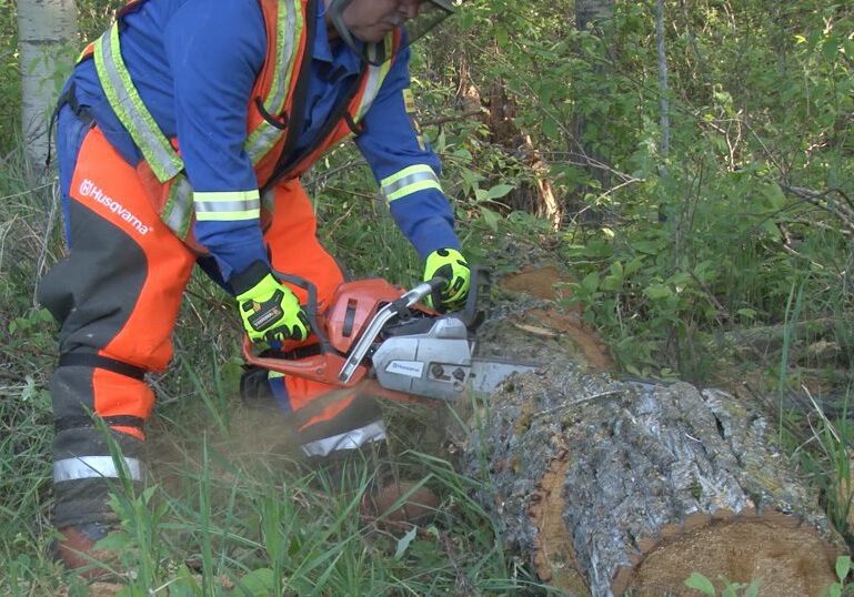 Chainsaw Safety Online Course